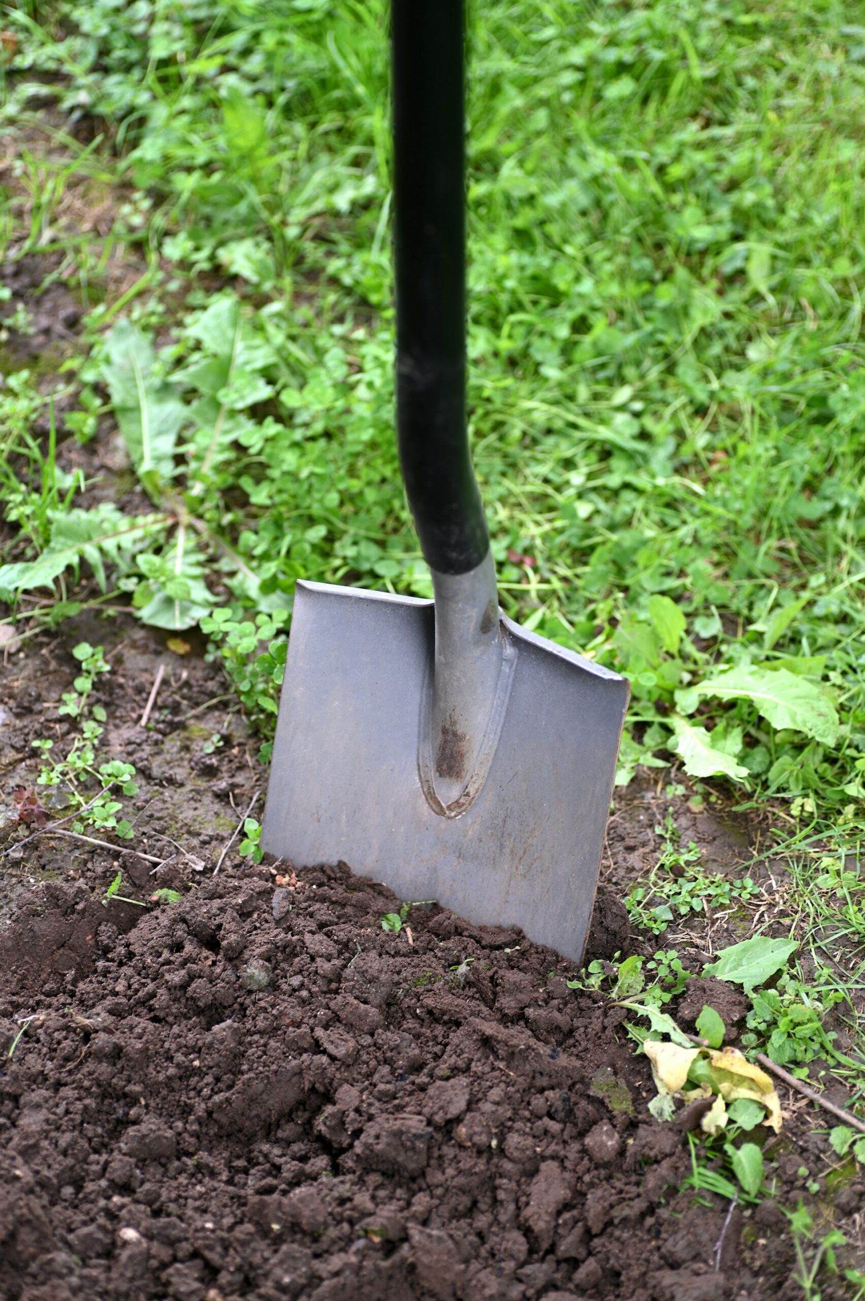 Unlocking Abundant Harvests: Proven No-Dig Vegetable Planting Techniques for Healthier Soil and Easier Gardening
