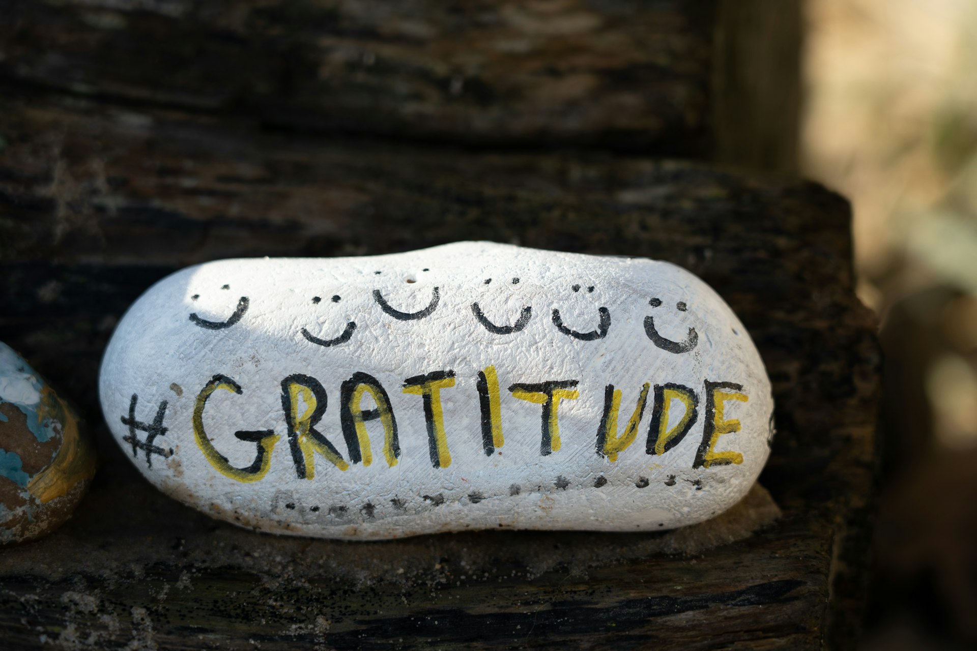 How Gratitude Practices Strengthen Family Bonds and Well-Being