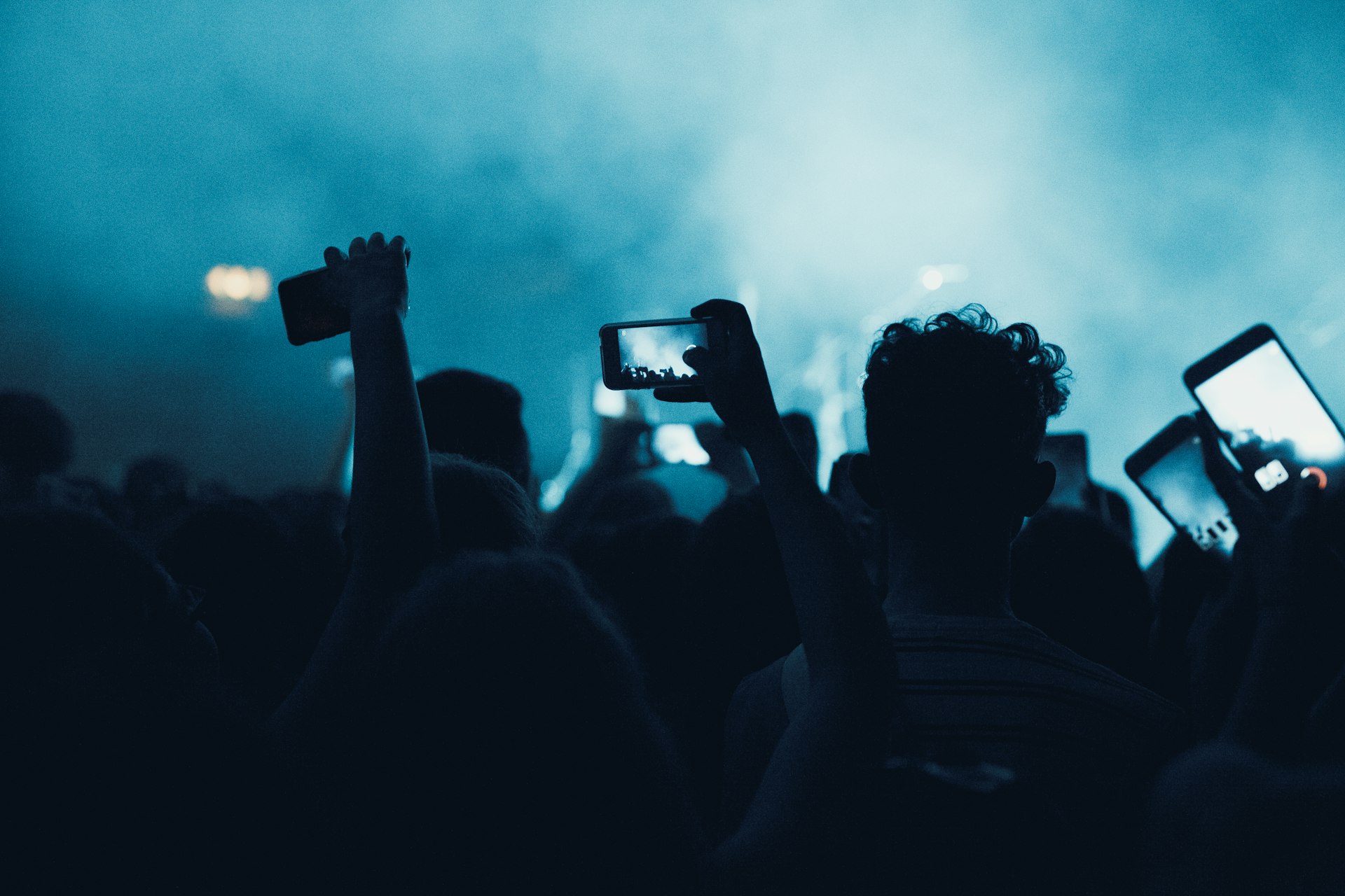 How Fan Theories and Online Communities Shape the Future of Entertainment